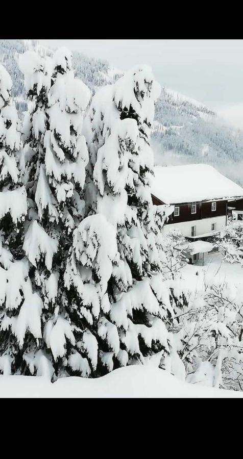Fruehstueckspension Alpenrose Bed & Breakfast Iselsberg Luaran gambar