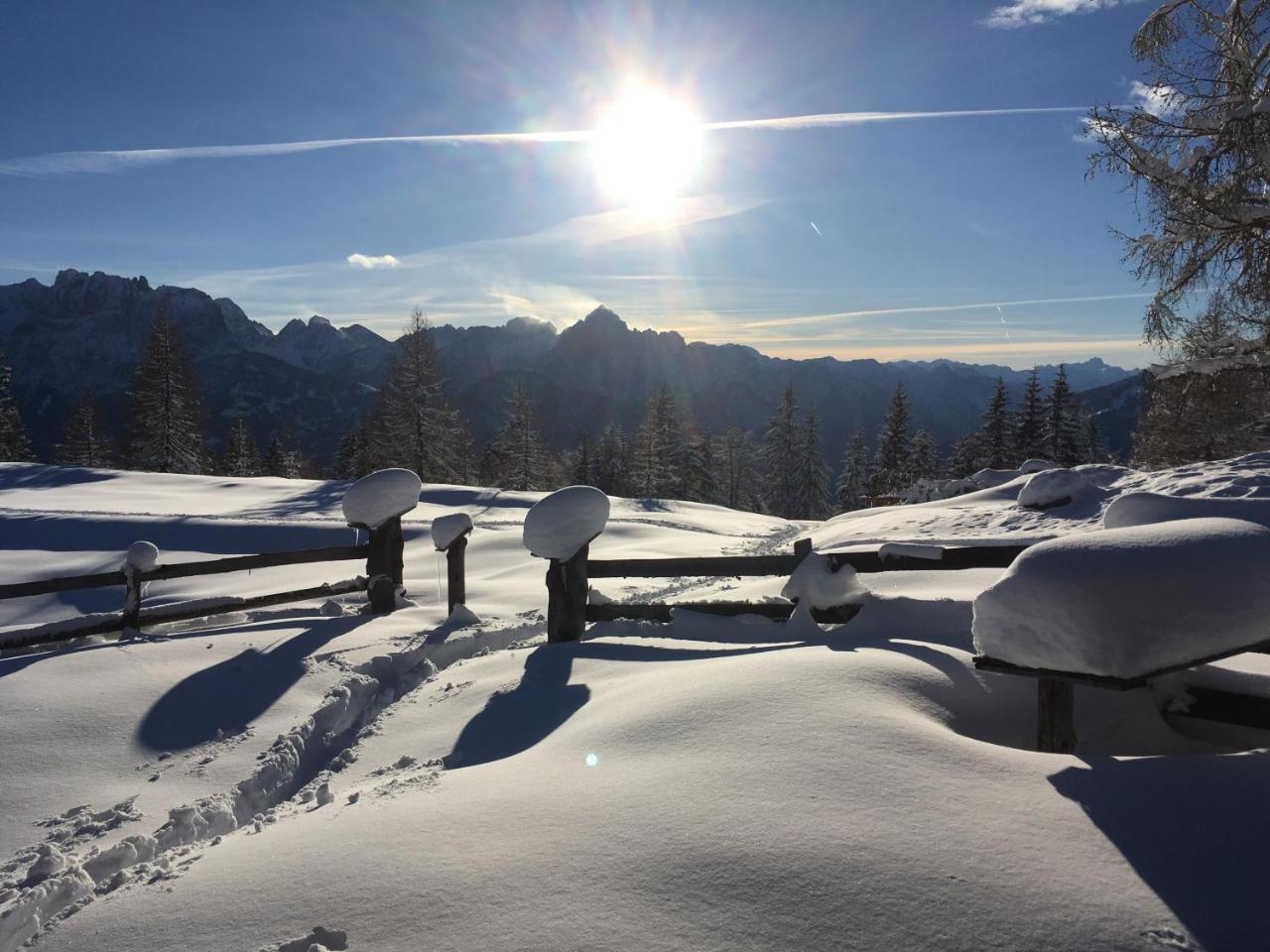Fruehstueckspension Alpenrose Bed & Breakfast Iselsberg Luaran gambar