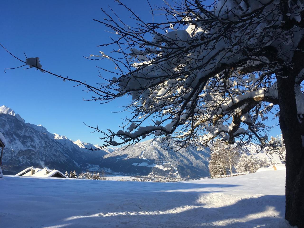 Fruehstueckspension Alpenrose Bed & Breakfast Iselsberg Luaran gambar